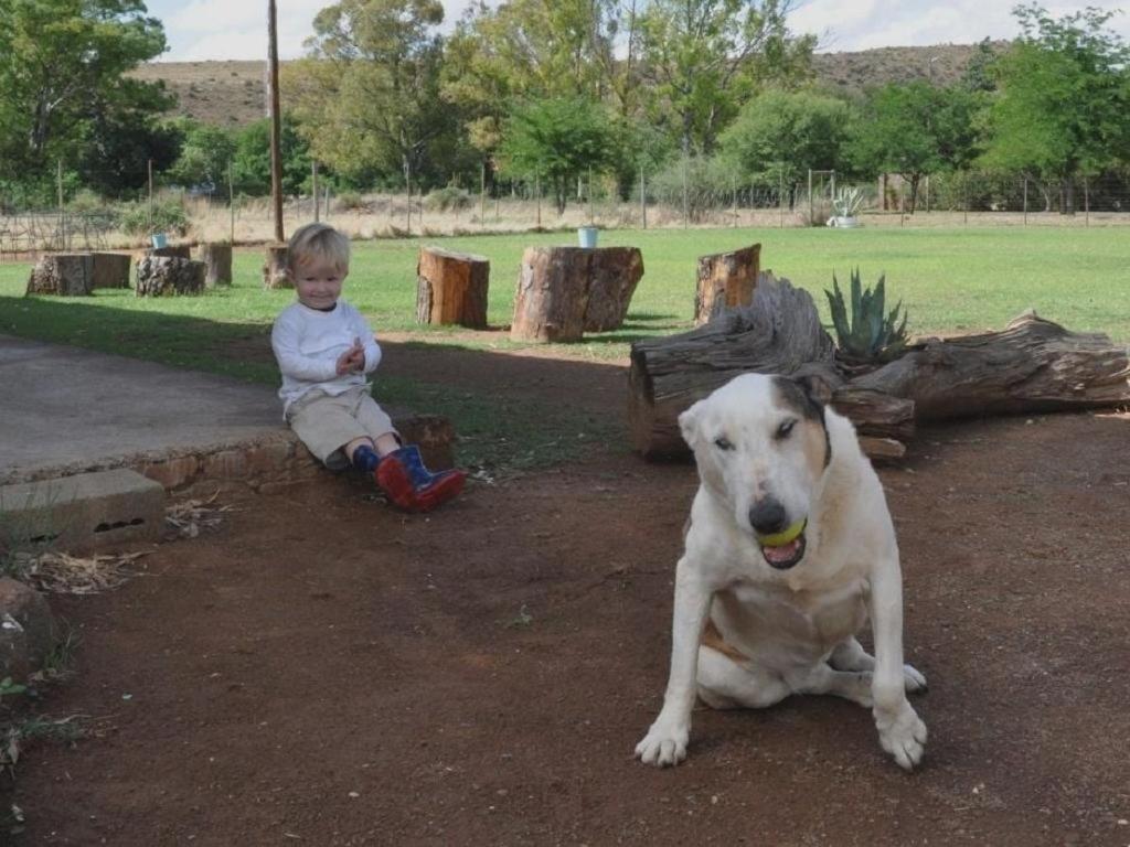 Little Farms Hotell Colesberg Exteriör bild