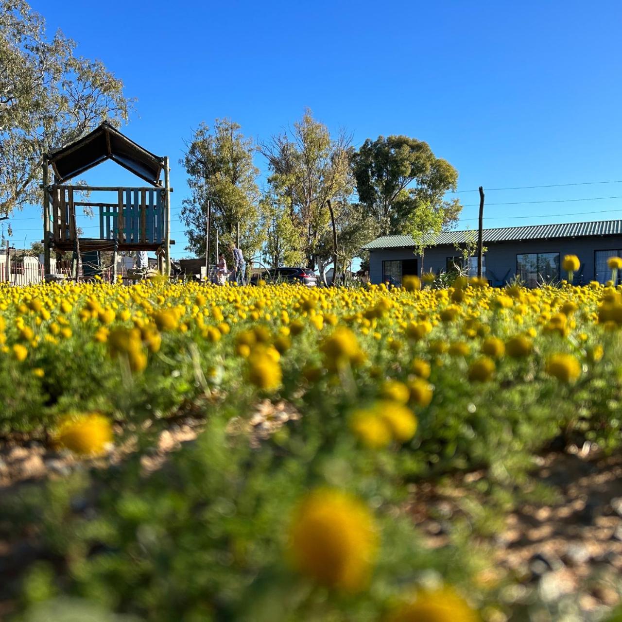 Little Farms Hotell Colesberg Exteriör bild